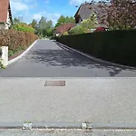 L'ecureuil Roux *