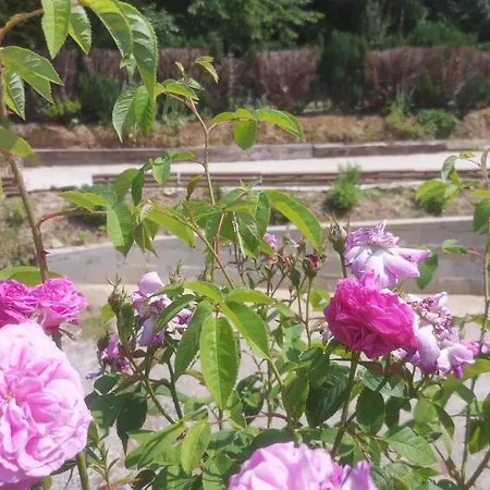 Habitación en casa particular L'écureuil Roux Motteville
