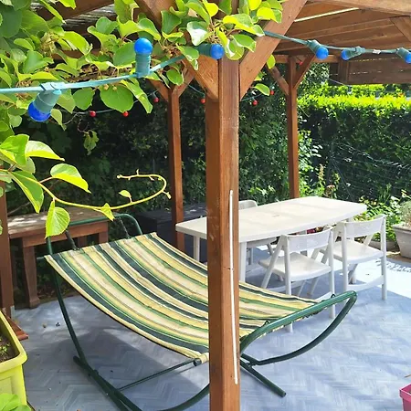 L'écureuil Roux * Motteville