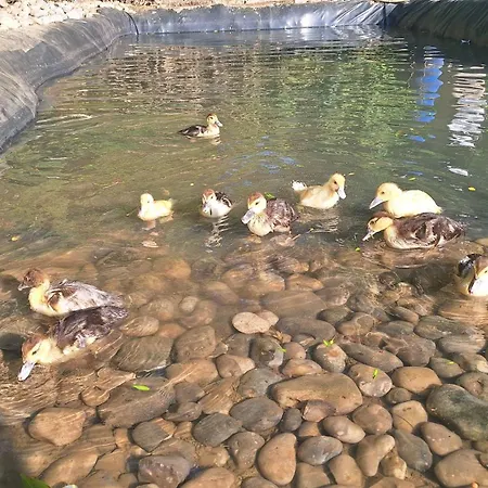 L'écureuil Roux Habitación en casa particular
