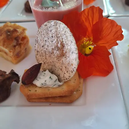 L'ecureuil Roux *