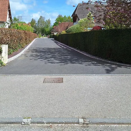 L'ecureuil Roux *